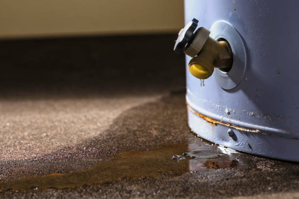 Best Flooded house restoration  in Hebron, IL