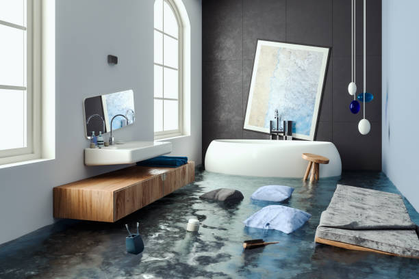 Best Flood restoration services  in Hebron, IL