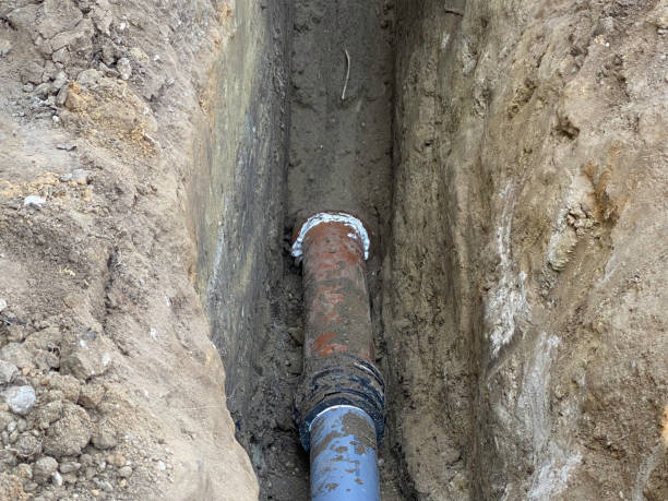 Best Professional water damage repair  in Hebron, IL