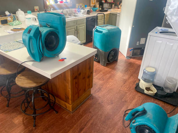 Best Commercial water damage restoration  in Hebron, IL