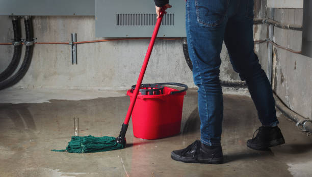 Best Flood restoration services  in Hebron, IL