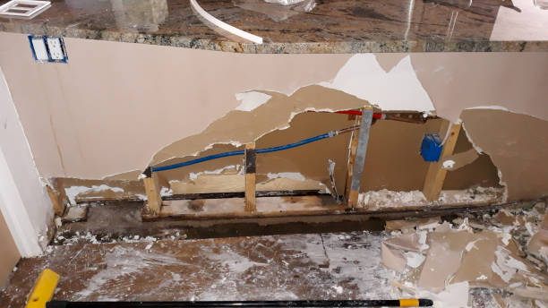 Best Water damage restoration near me  in Hebron, IL
