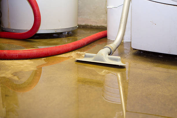 Best Fire Damage Restoration  in Hebron, IL