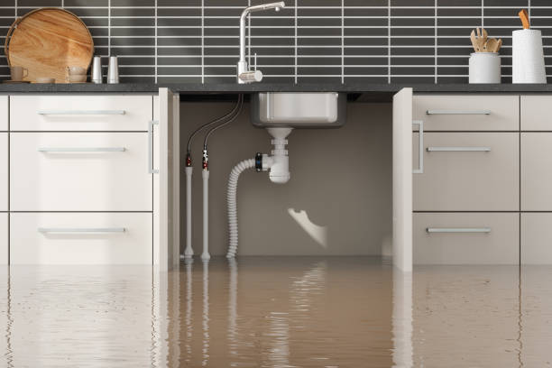 Best Mold removal after water damage  in Hebron, IL
