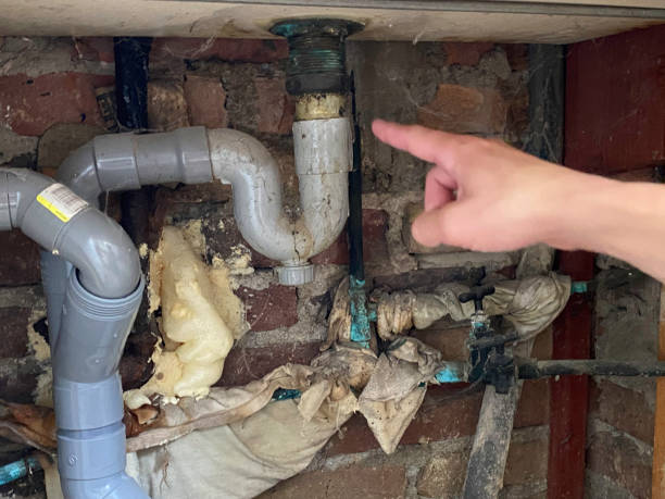 Best Water damage contractors near me  in Hebron, IL