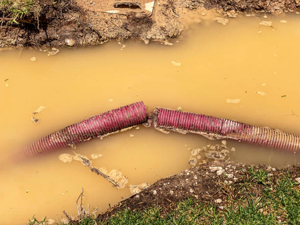 Best Flood damage cleanup  in Hebron, IL