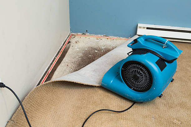 Best Basement water damage restoration  in Hebron, IL